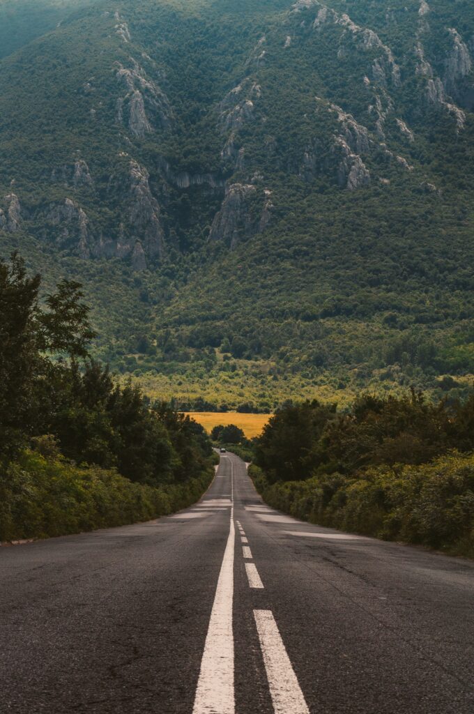 Dog satey during car rides. Open road.