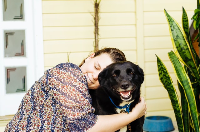 DoggoFren