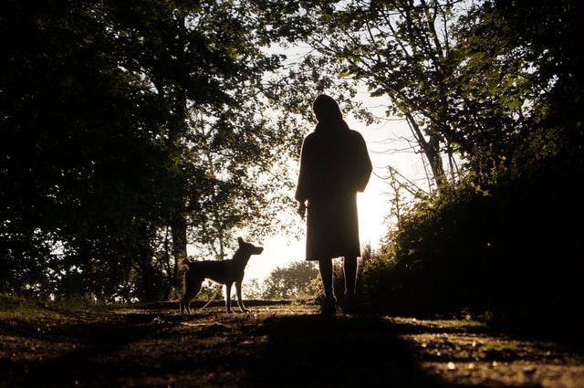 Dog and human walking.